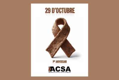 imatge aniversari DANA - copia